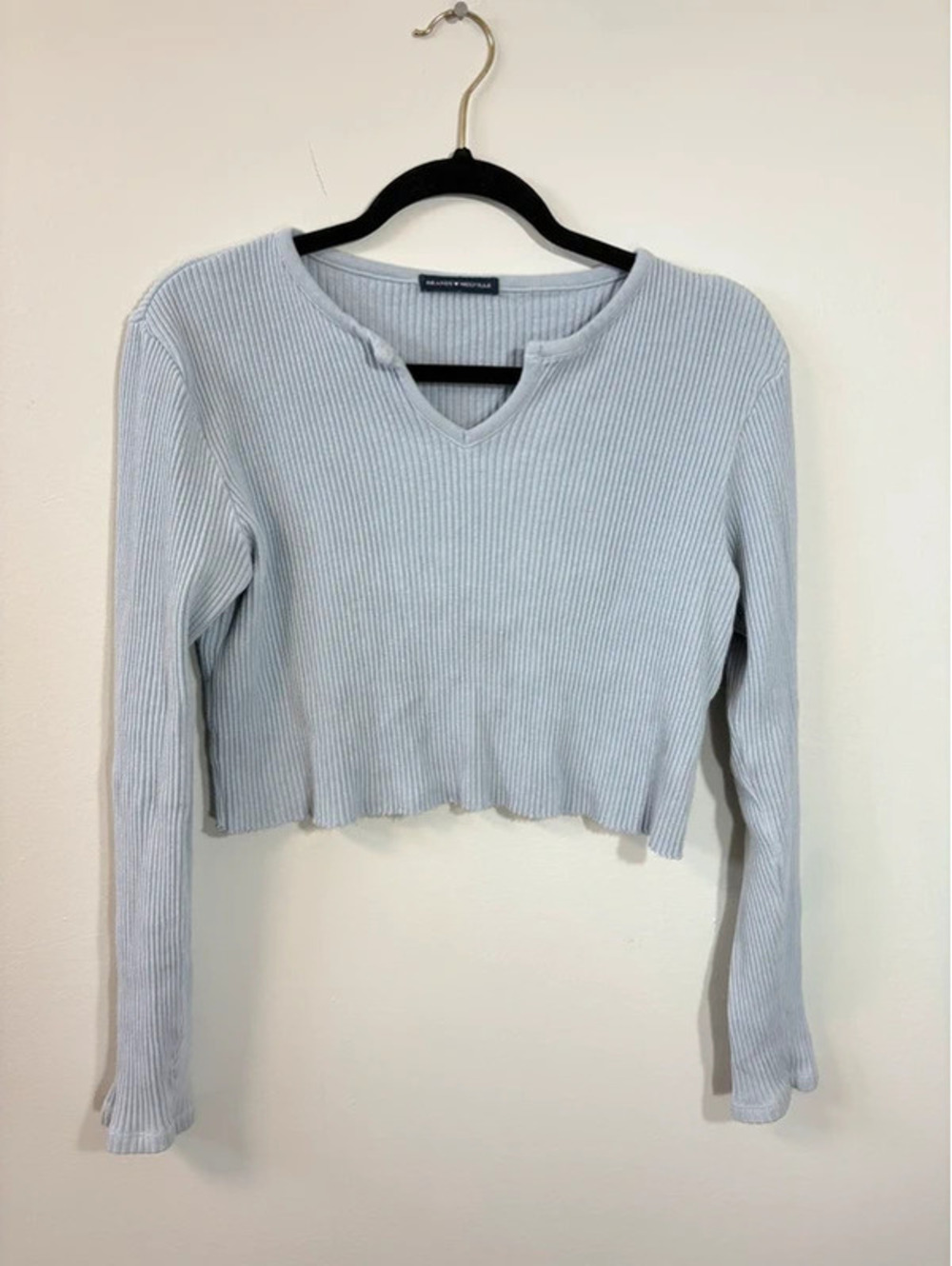 Brandy Melville Blue Long Sleeve Crop Top